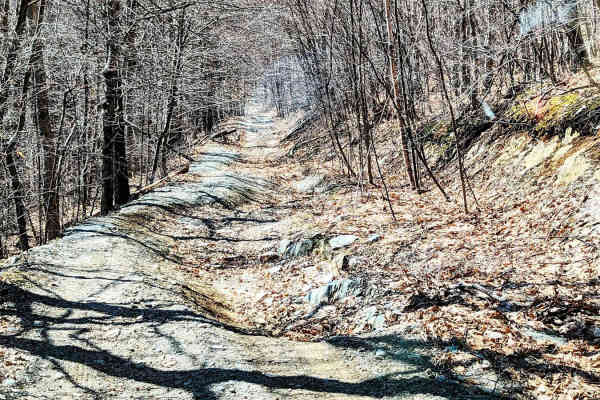 Rounds Mountain DEC Access Road