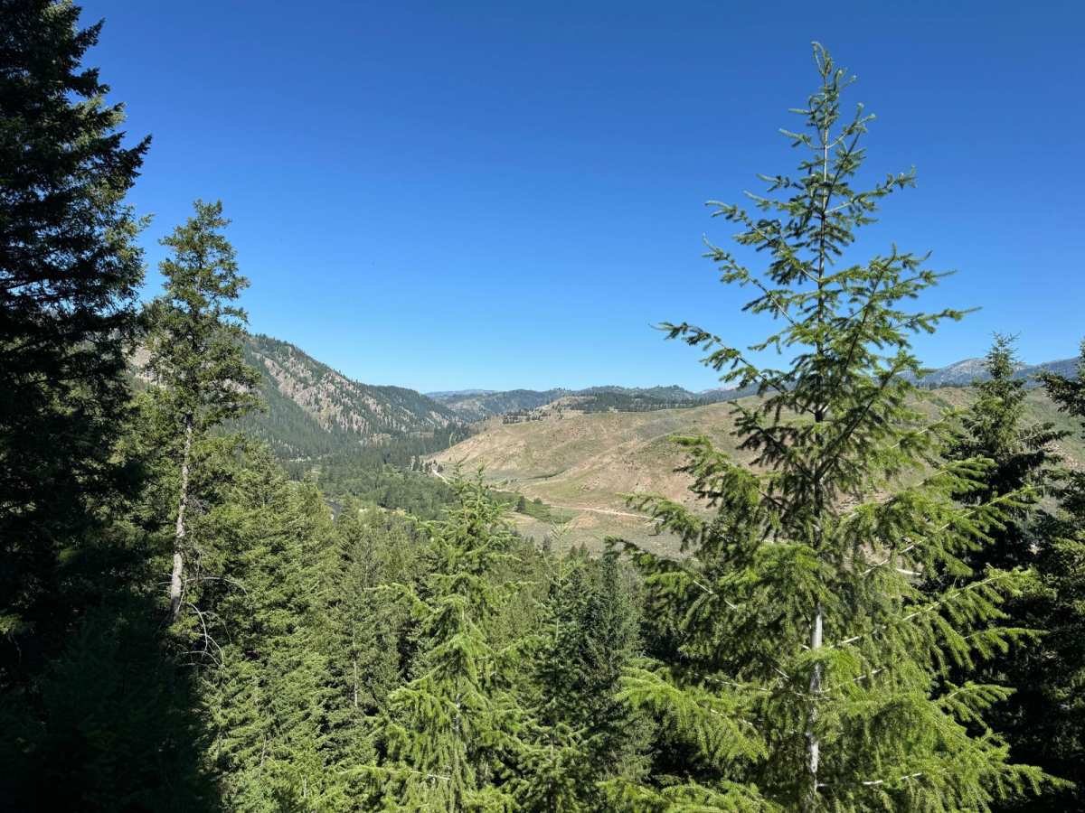 West Fork of Kelly Creek (Trail 7038) photo 3