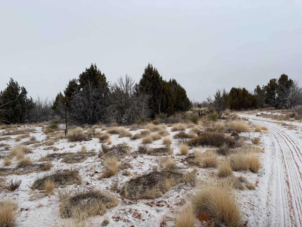 BLM M4187 photo 5