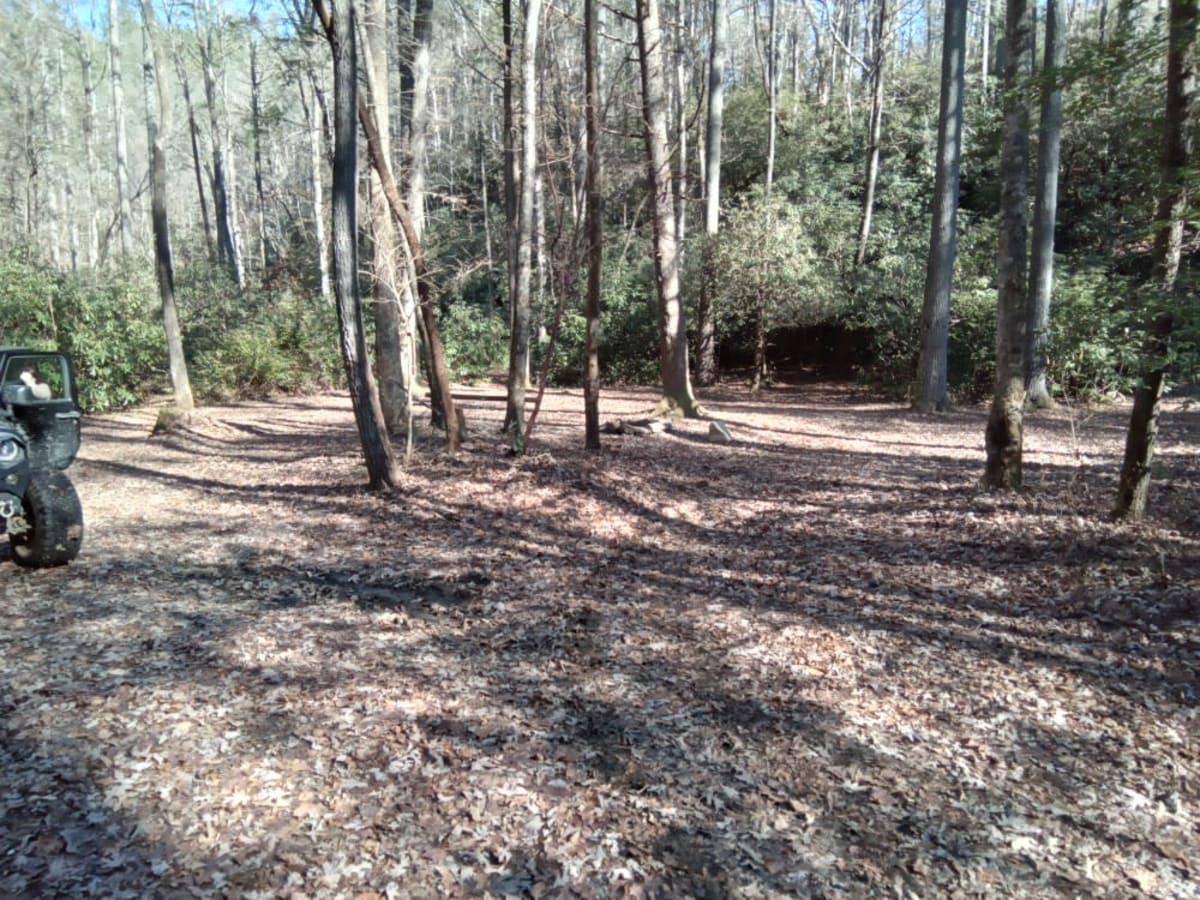 Tuckaluge Creek Road/153 photo 2