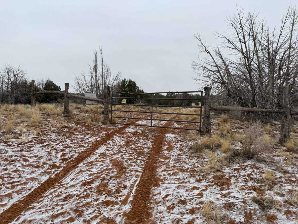 BLM M4187 photo 4