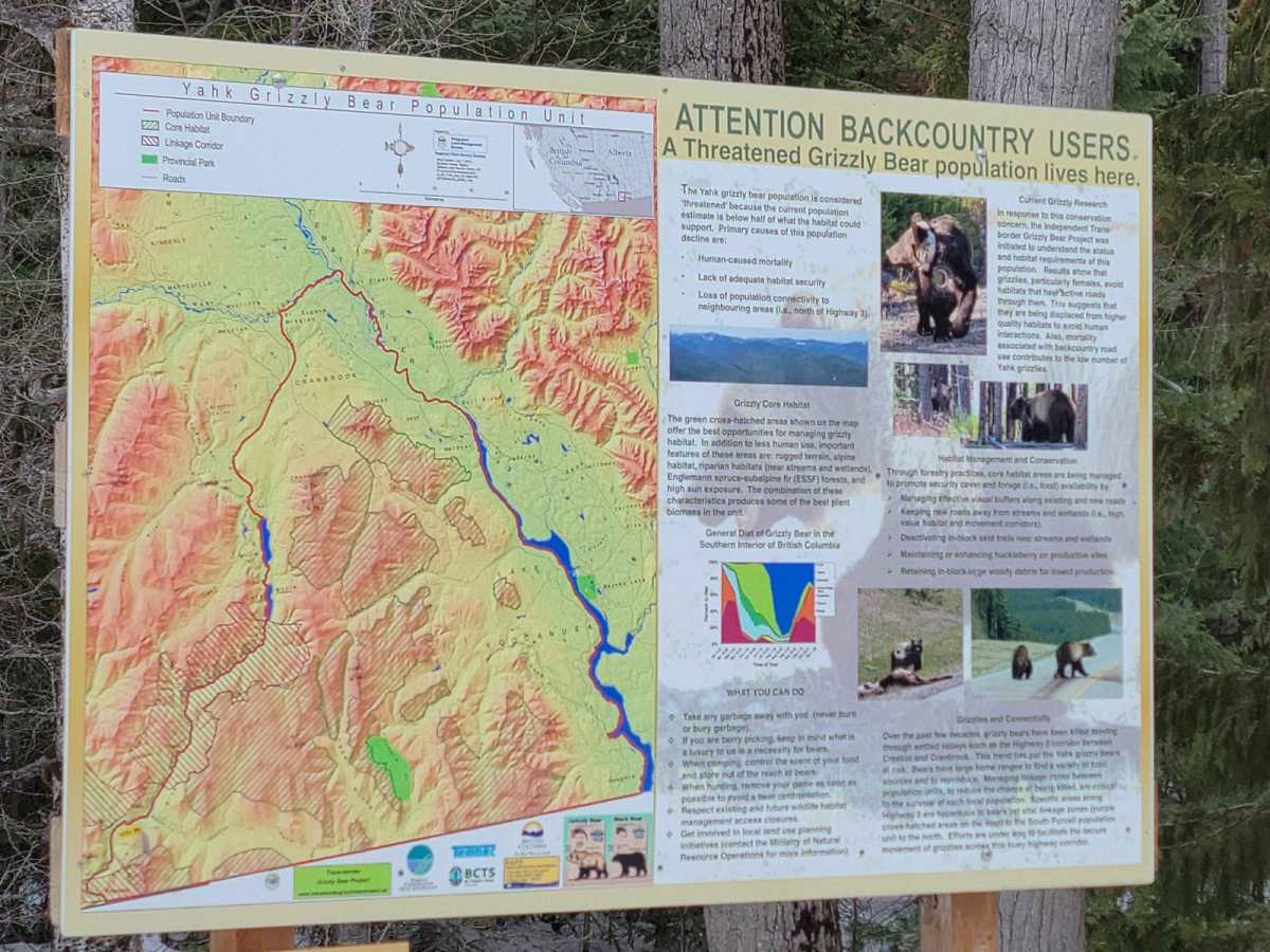 Yahk To Canuck Creek Rec Site photo 3