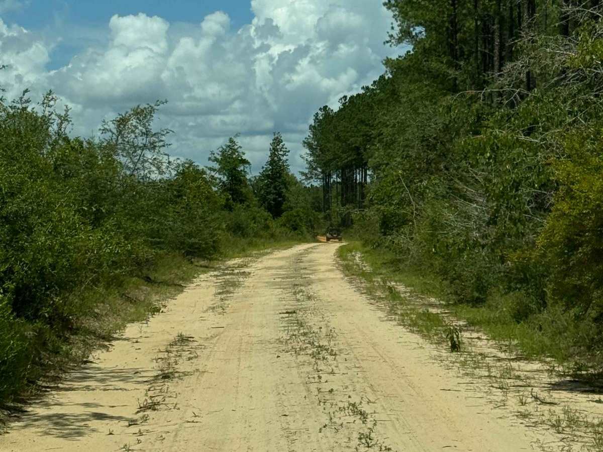 Blackwater River Route 2 photo 3