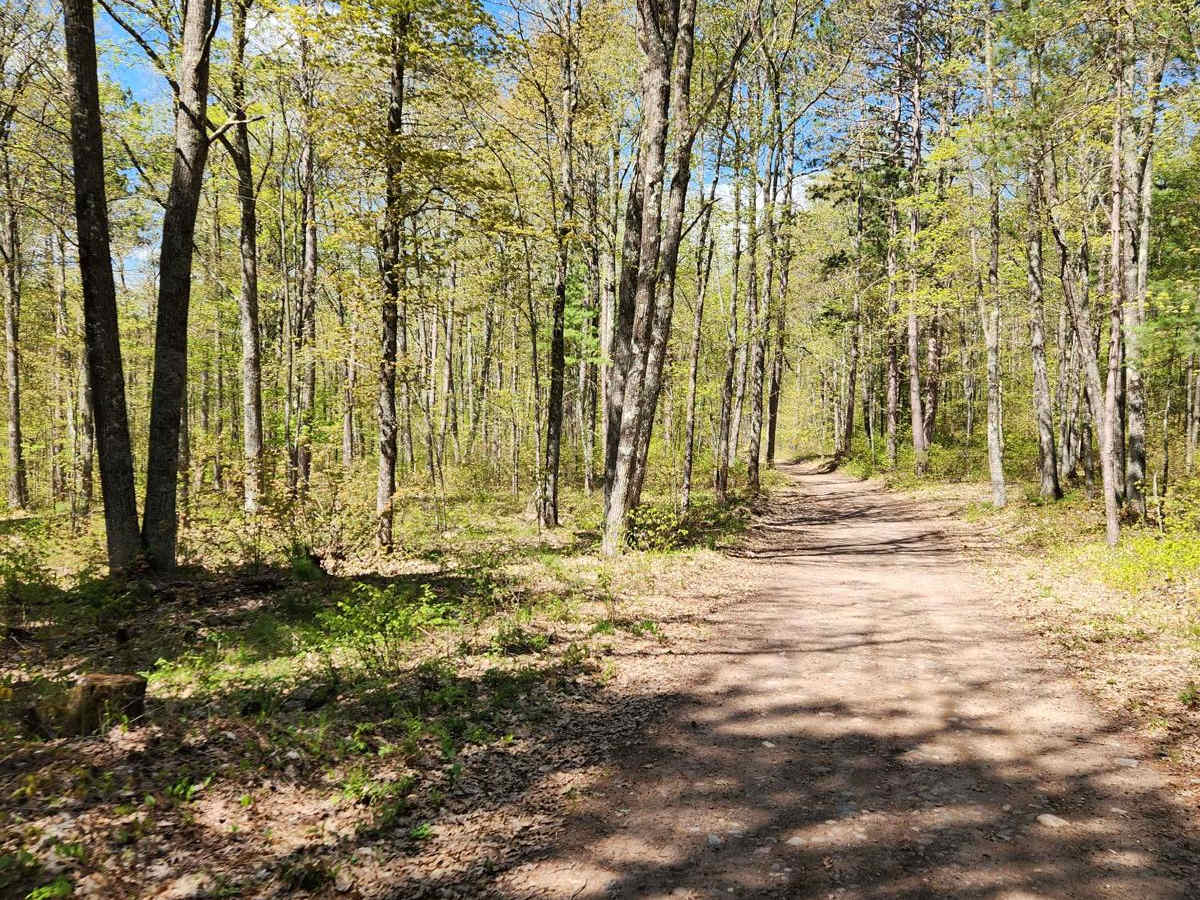 Tuscobia State Trail - Park Falls to Loretta trail photo