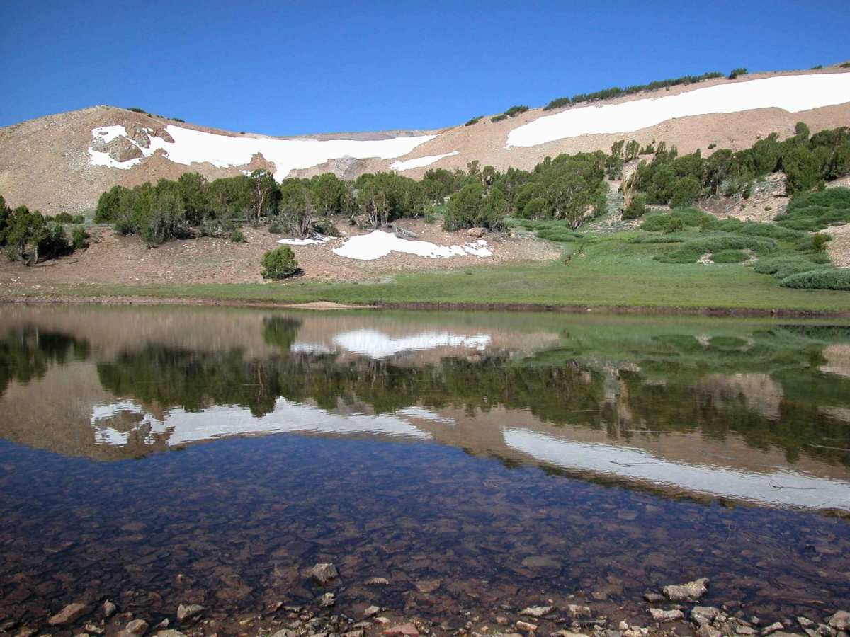 Mount Patterson photo 5