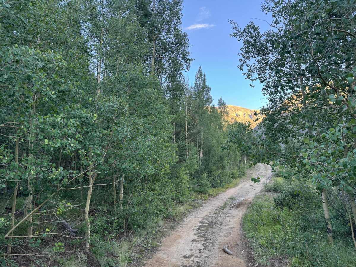 East Animas Road photo 4