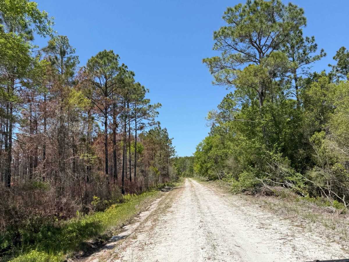 Tate Drive photo 2