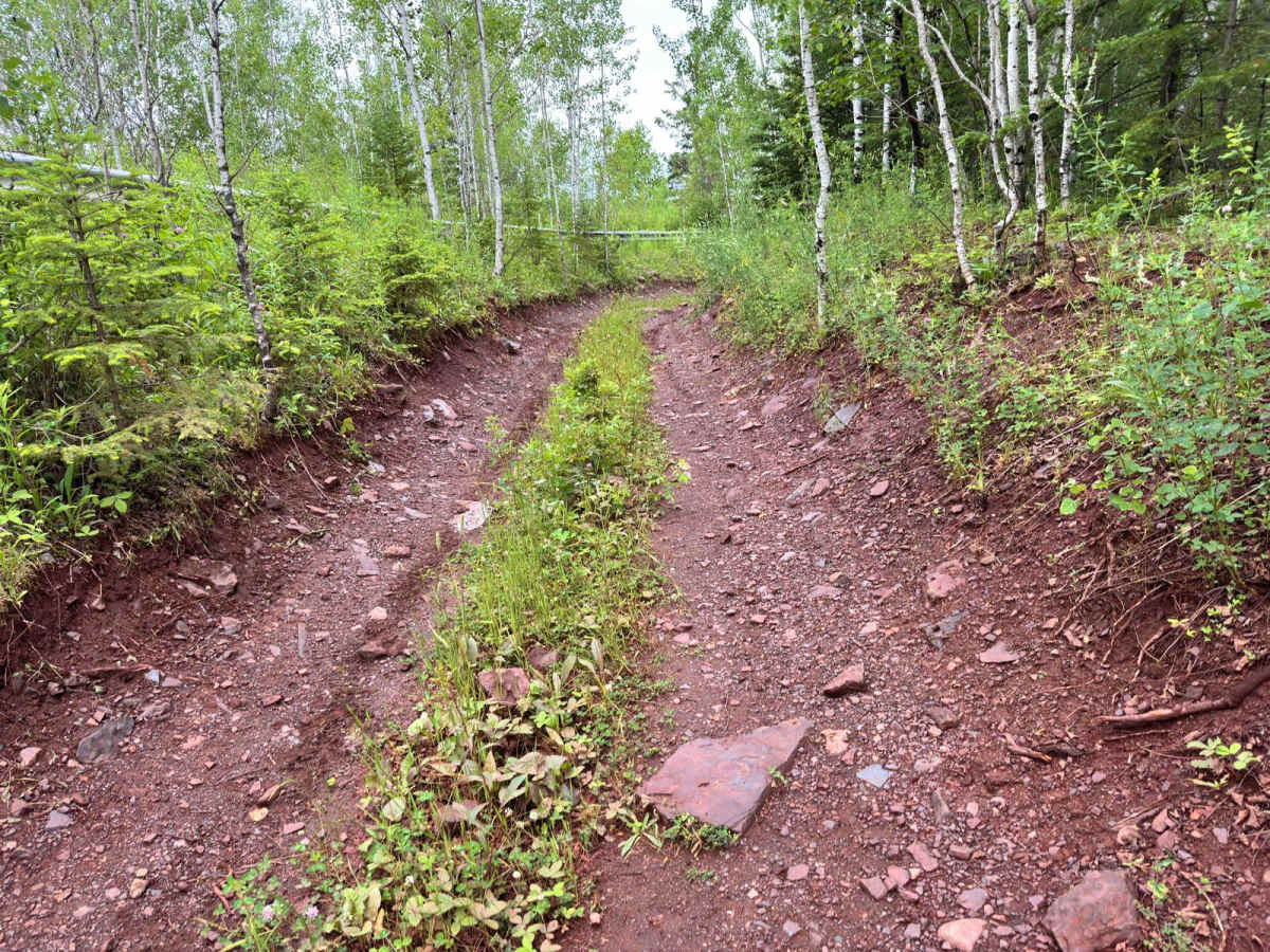 Guard Rail Gulley photo 4