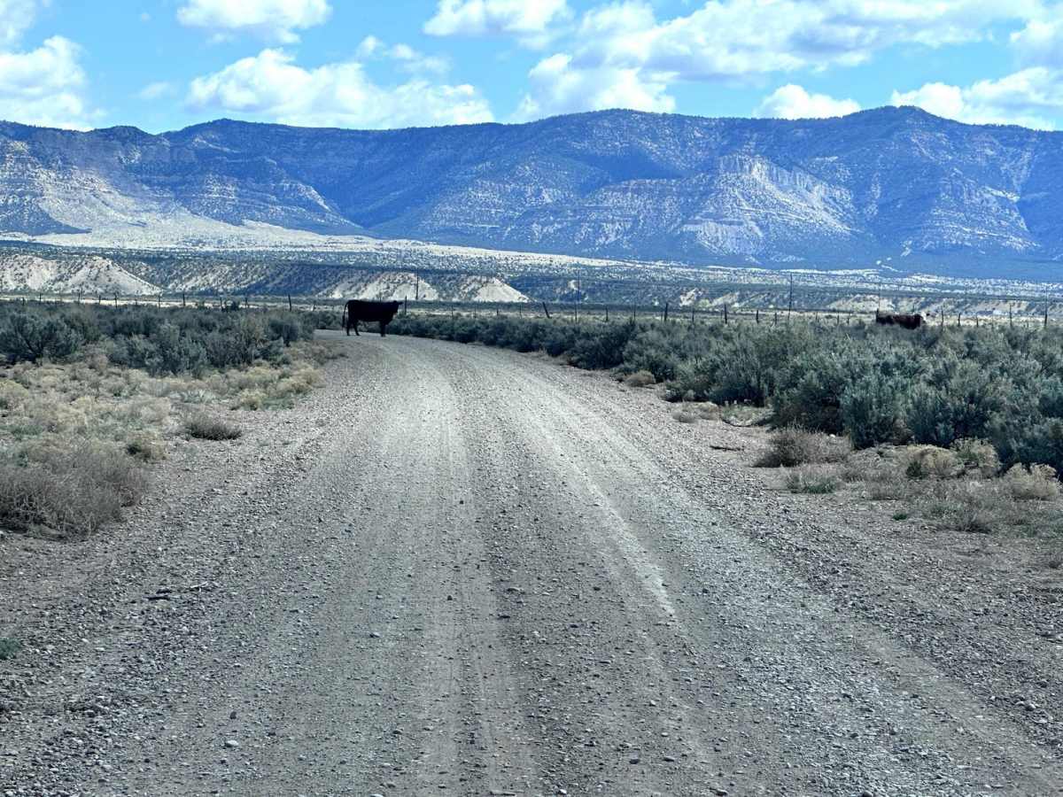 Mud Springs Road photo 2