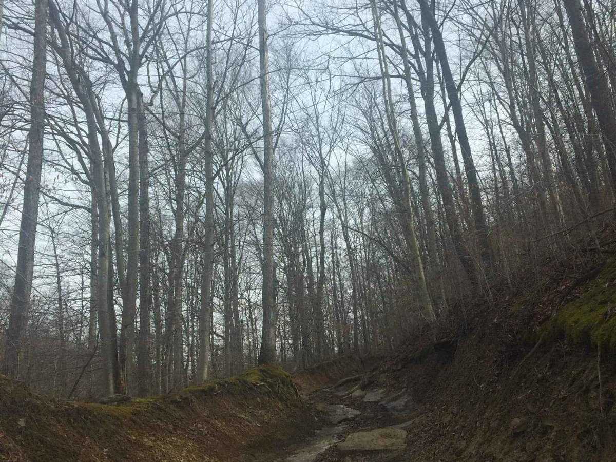 Albright photo 2