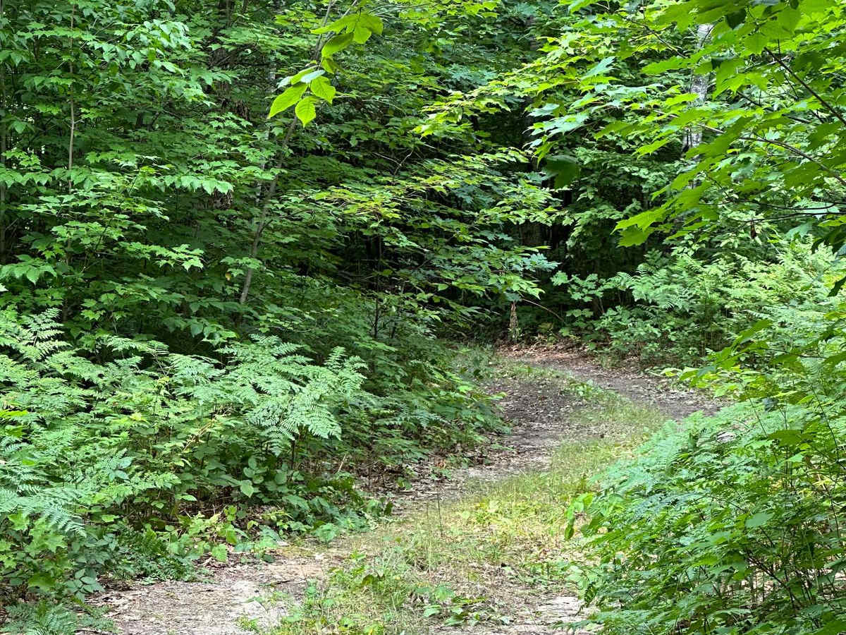 Milnichol Road photo 6