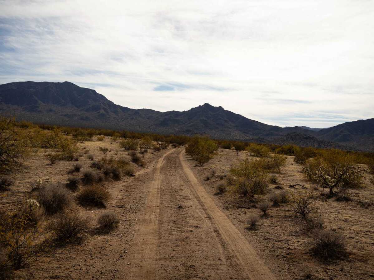 Hidden Camp photo 3