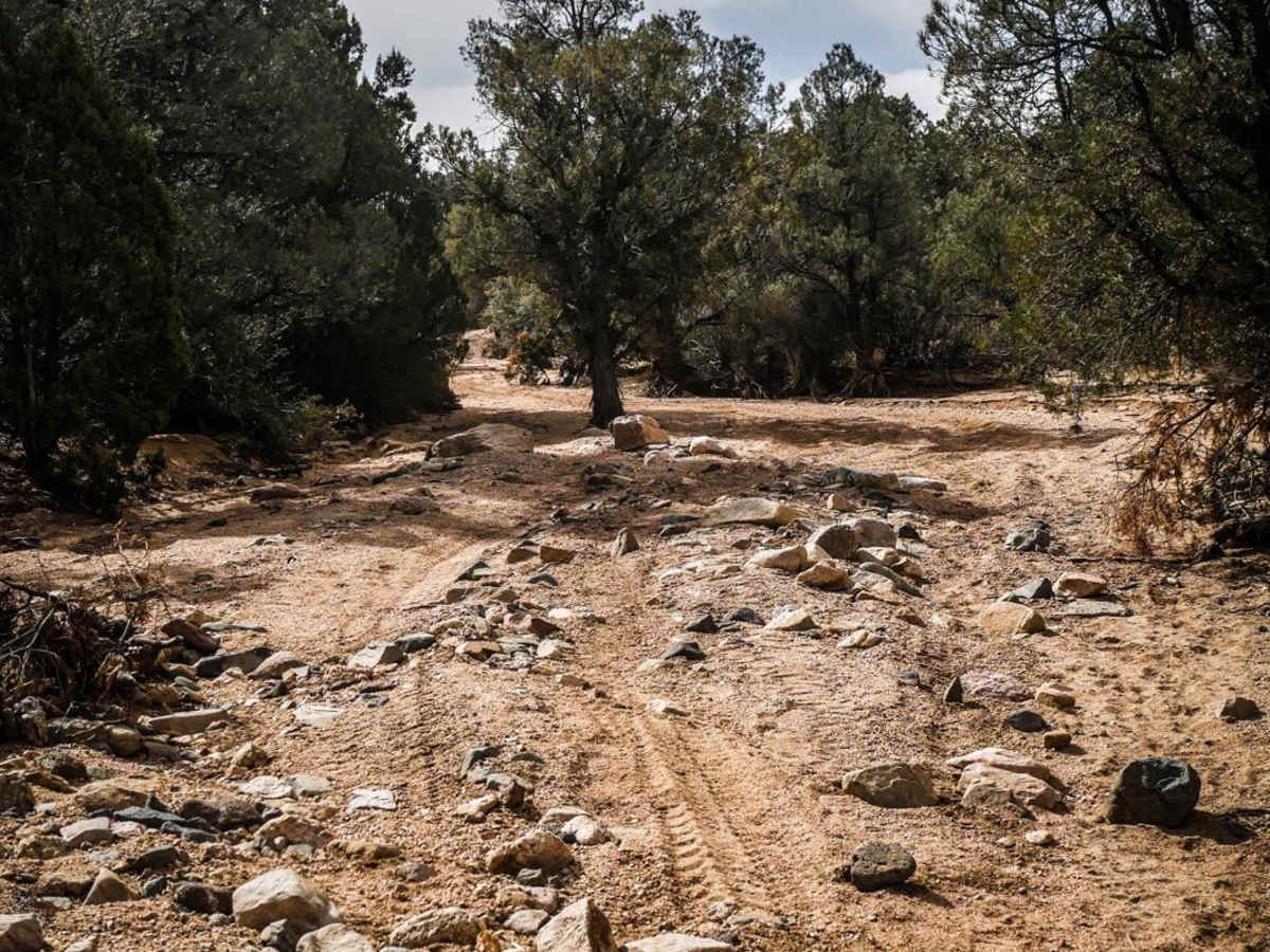 ATV Sand Wash Trail photo 5
