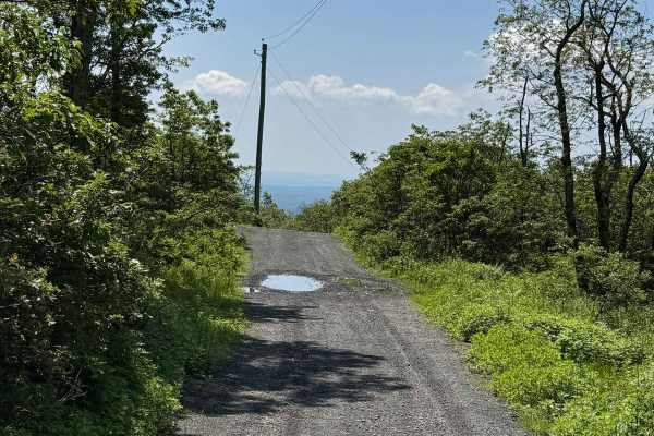 Fire Tower Road