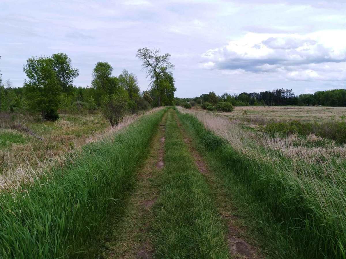 Rabey Line photo 5