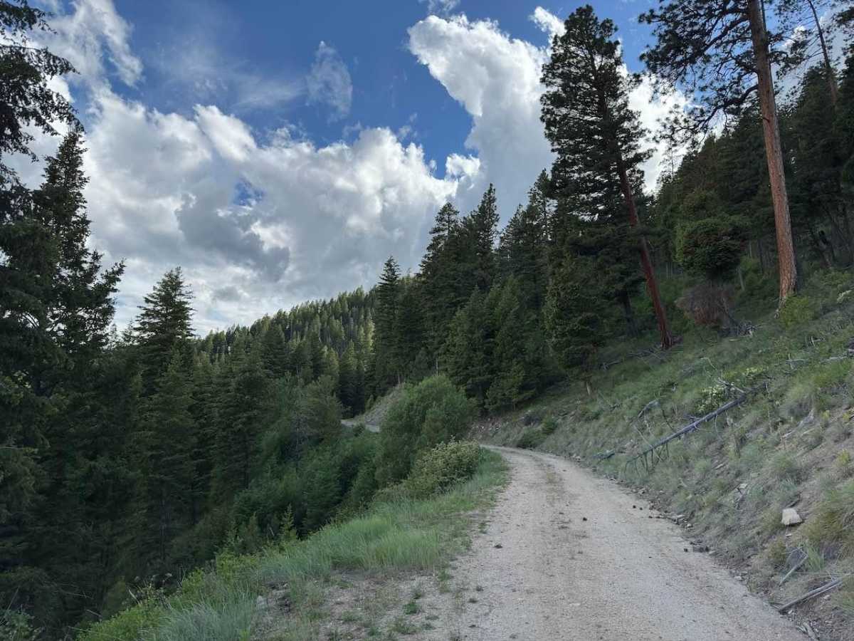 Crazy Creek photo 5