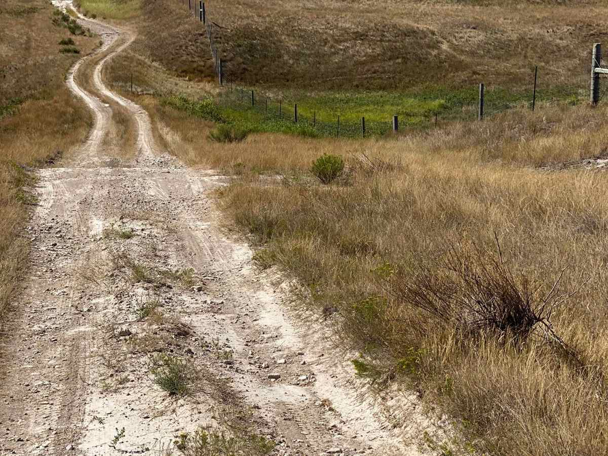 Grasslands to Badlands photo 3