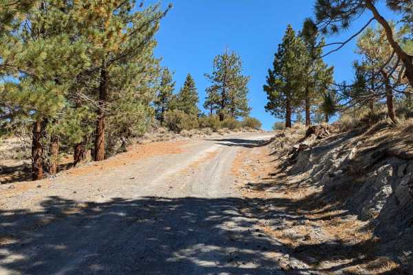McGee Canyon West