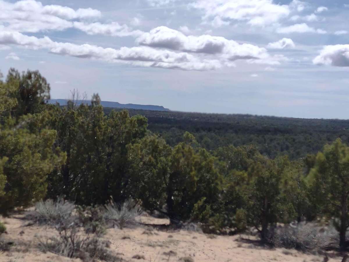 Mansard Trail North (BLM 104) photo 4