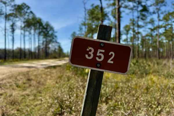 Lost Road 352