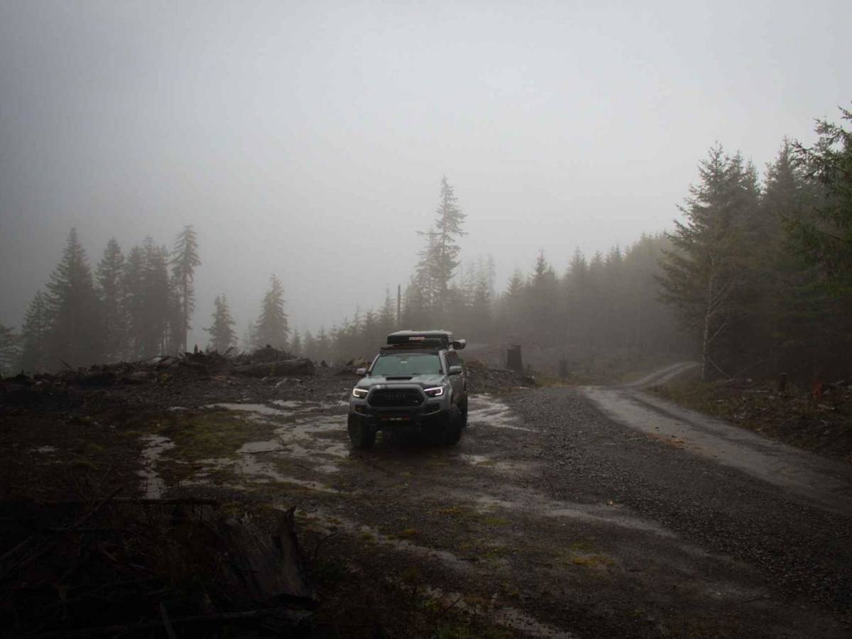 Capitol State Forest Smooth Cruise photo 3