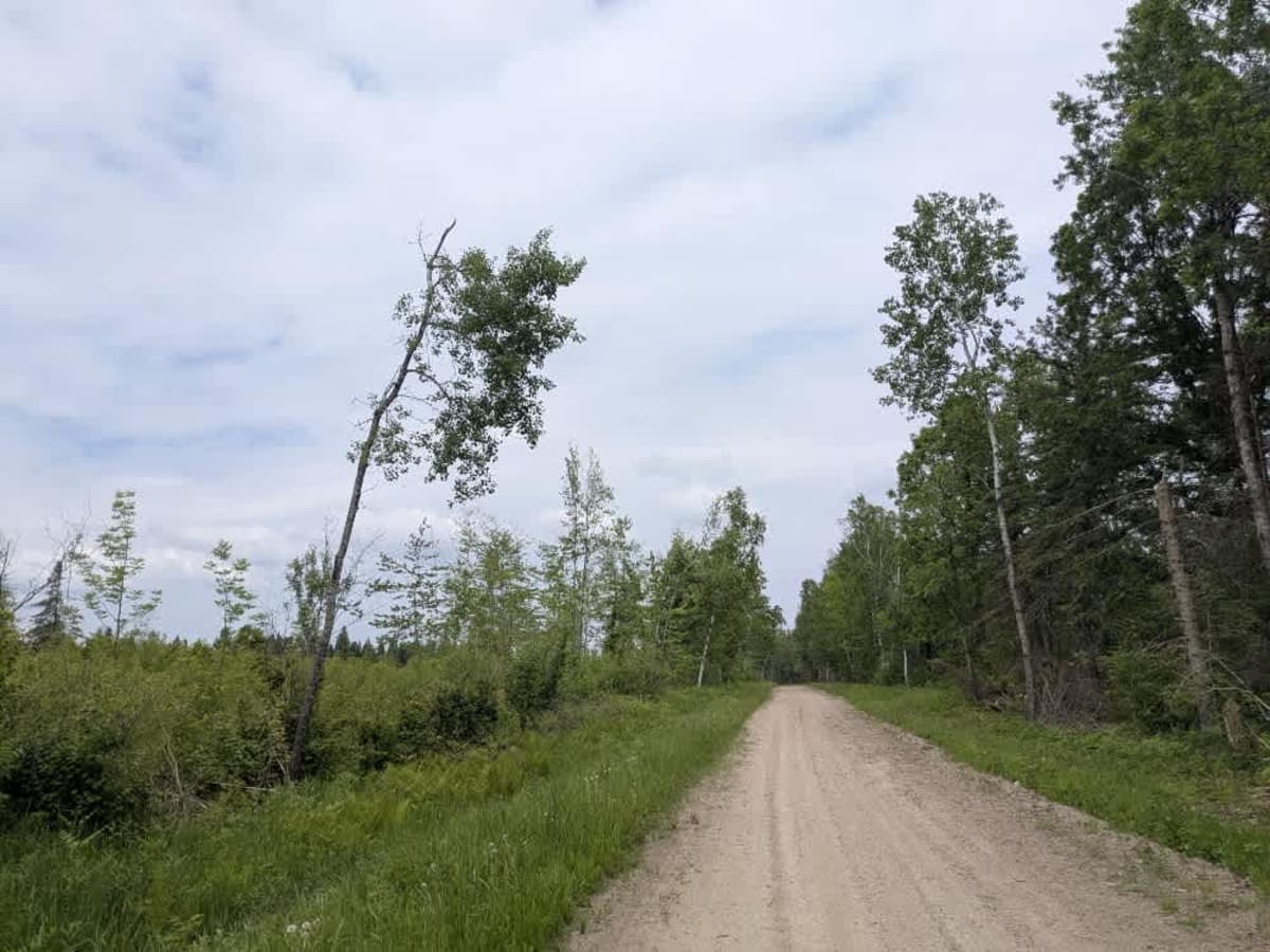 2415 trail photo