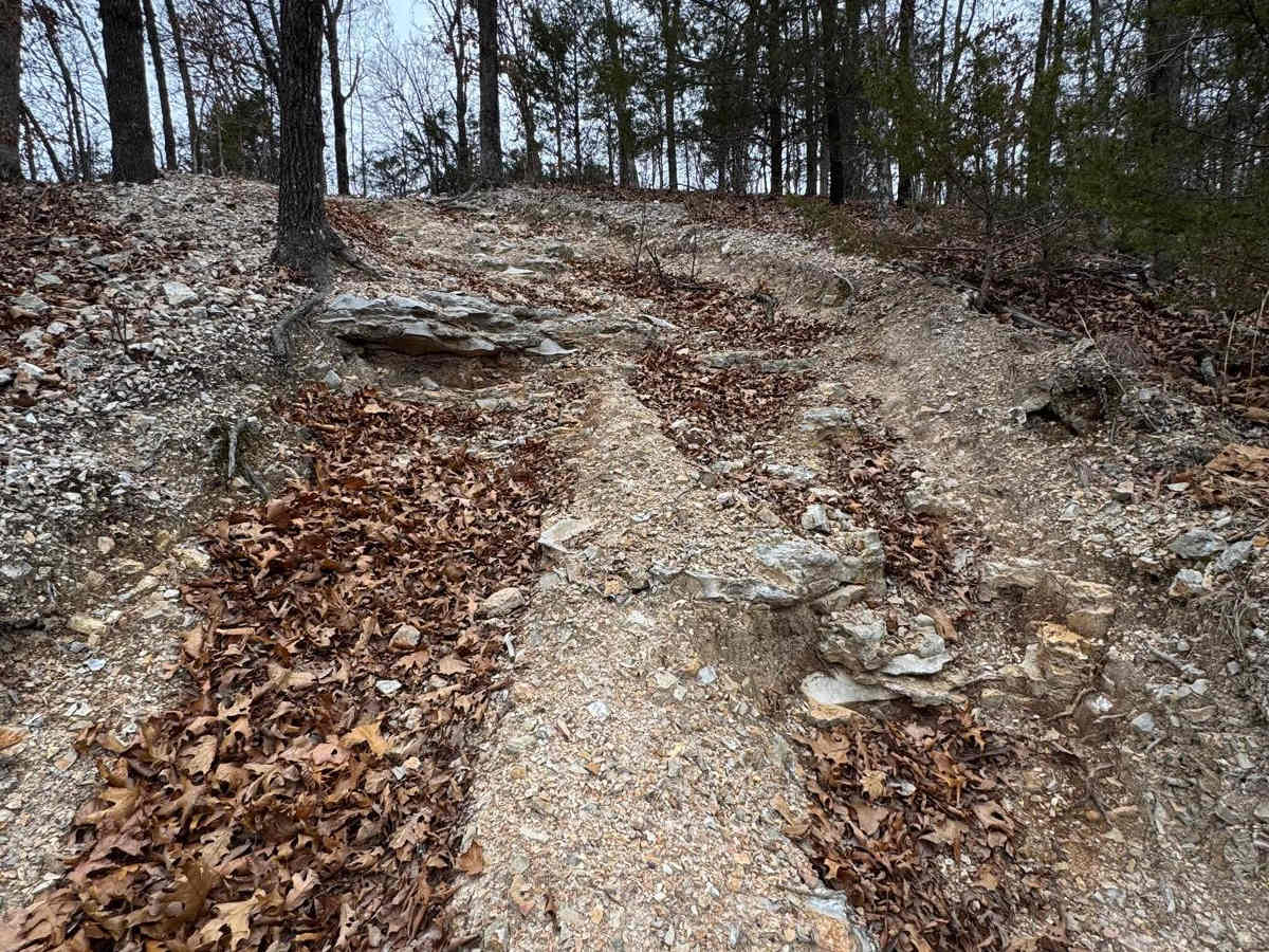 Tight And Curly - 278 trail photo