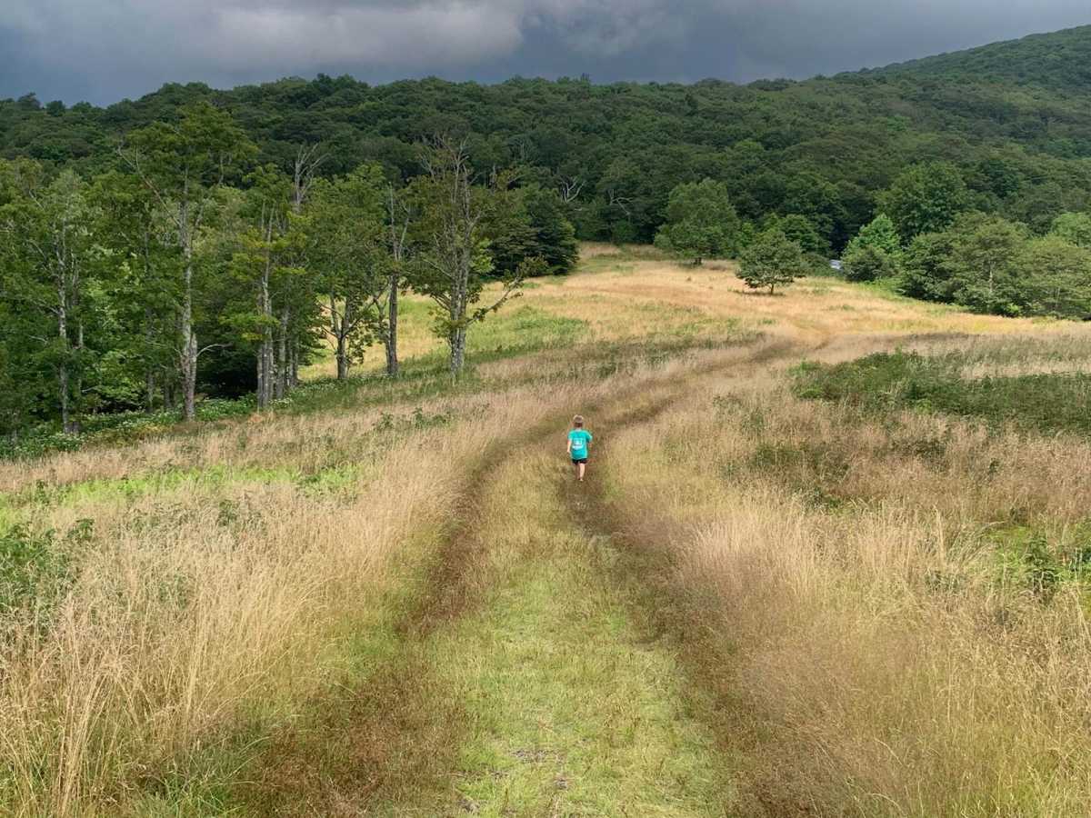 Wigg Meadow trail photo