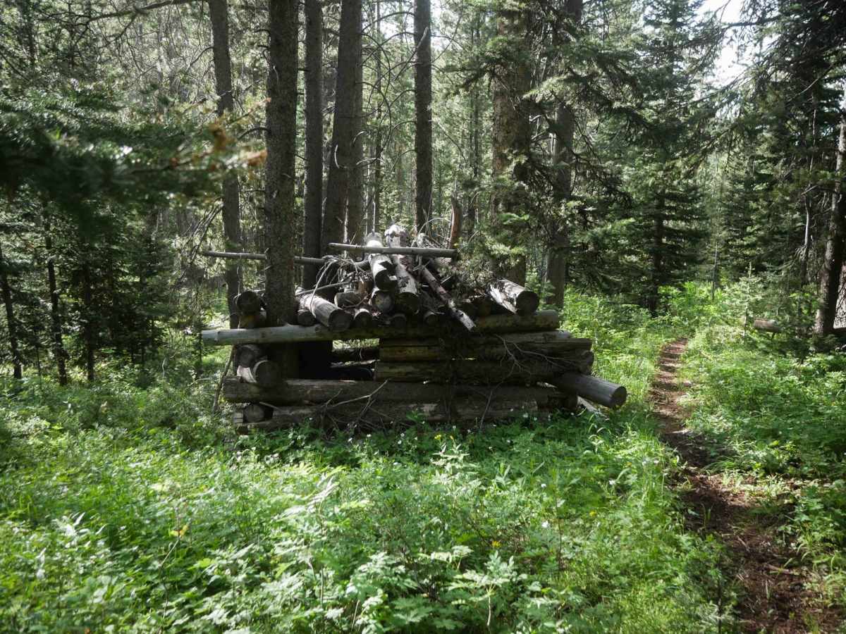 Trappers Cabin #3561A photo 4