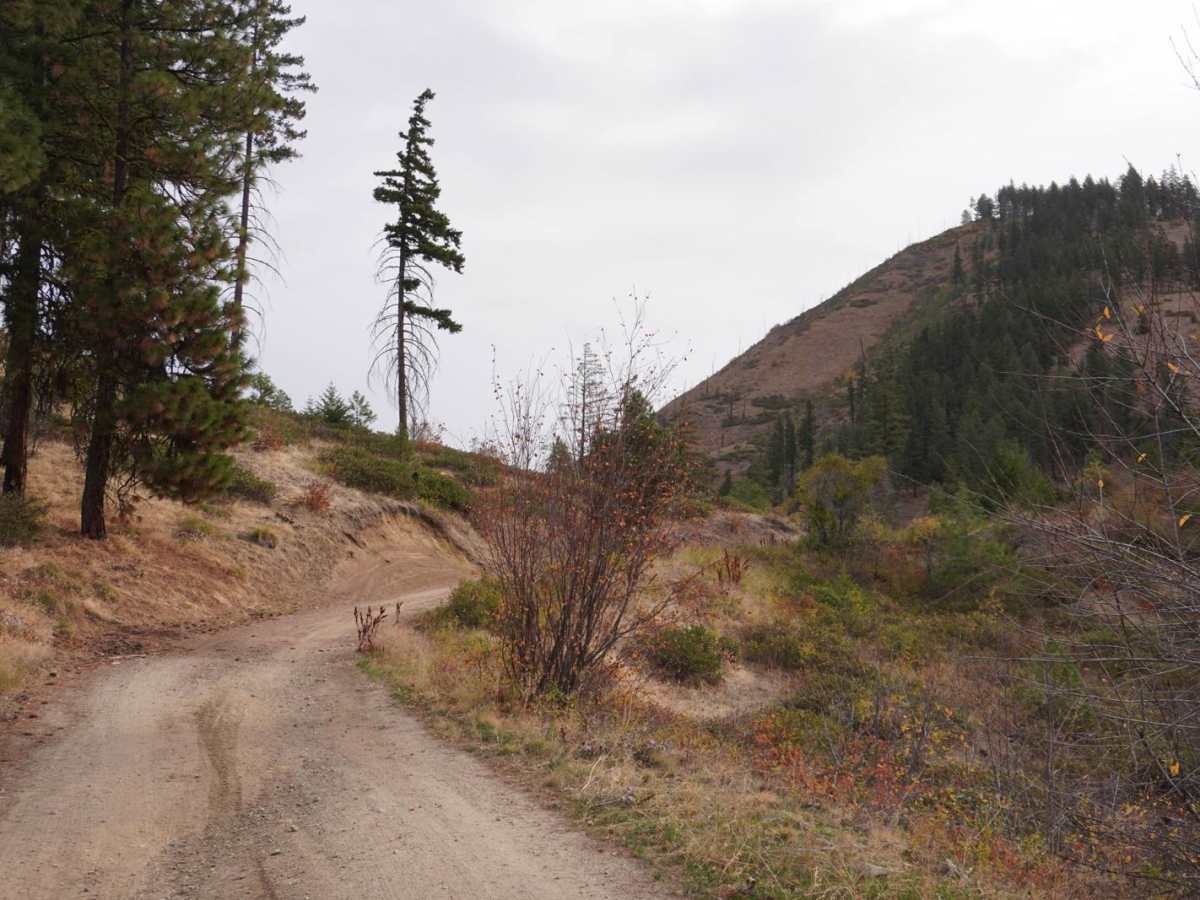 Blag Mountain photo 3
