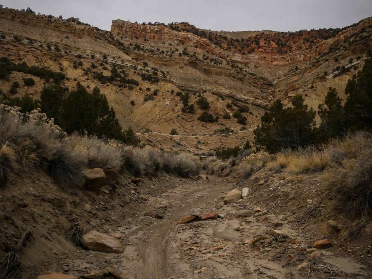 BLM Route 220 photo 4
