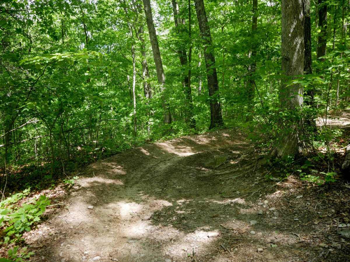 Trail 13 trail photo