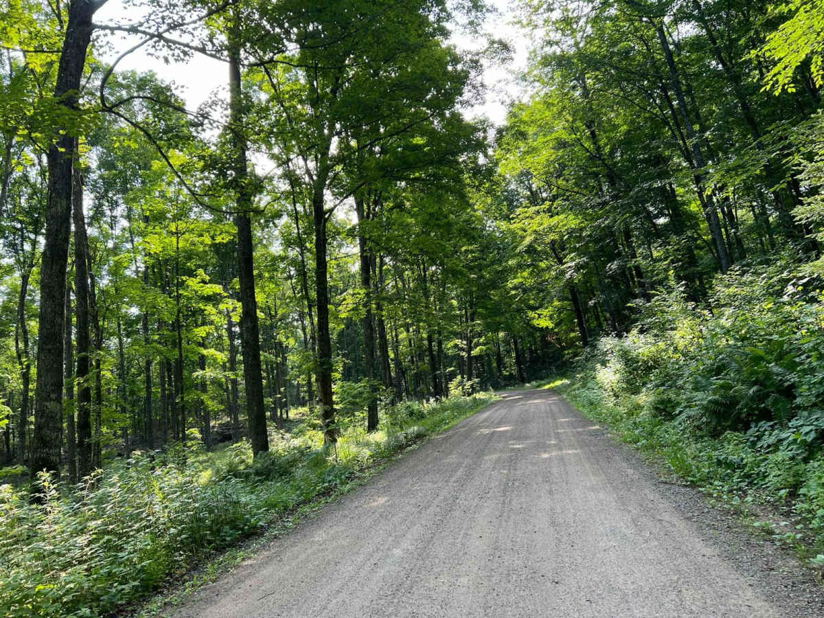 Borske Road - FS 2366 trail photo