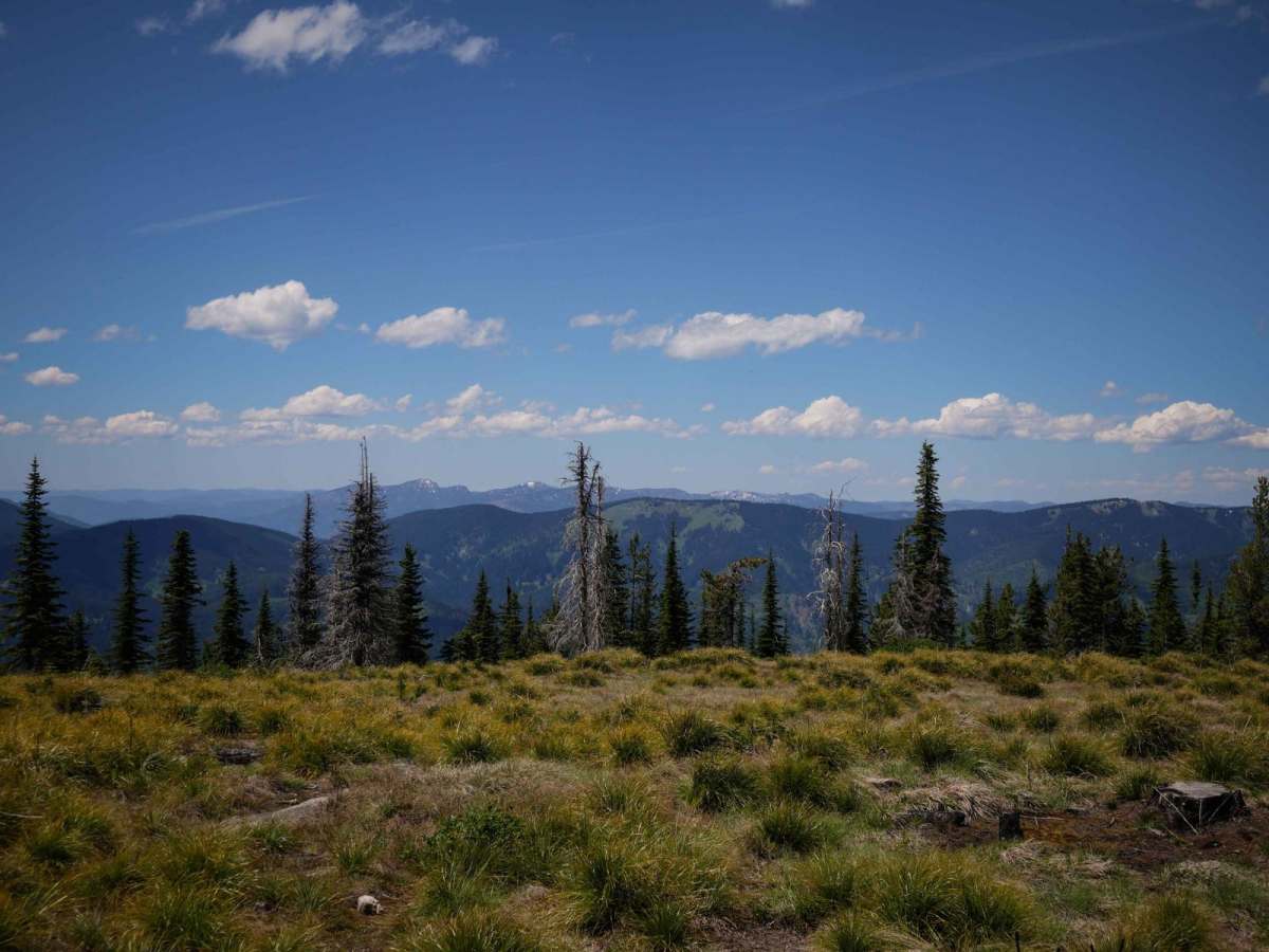 Junction Lookout photo 2