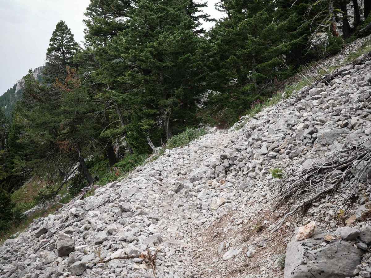 Bridger Ridge photo 5