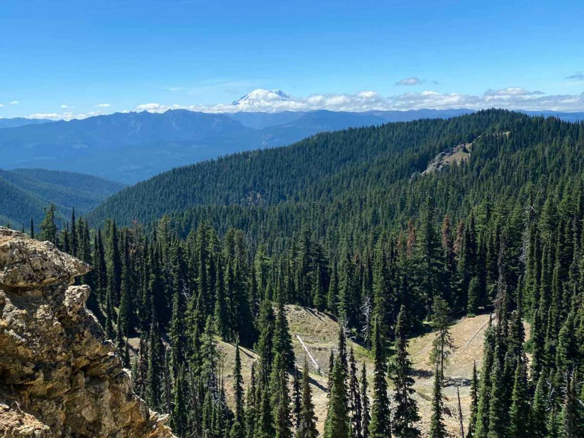 Manastash Ridge photo 6