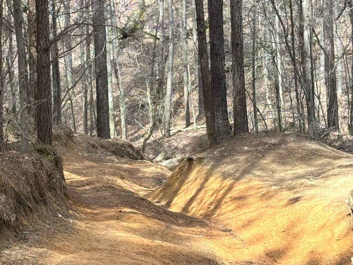 Bootleg Creek photo 2