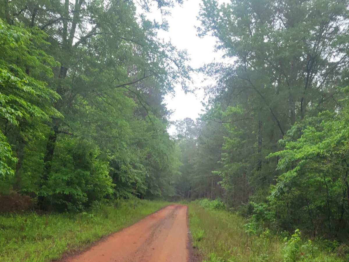 Oconee Southern Traverse (Segment 1) trail photo