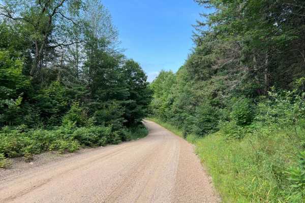 Roberts Lake Road - FS 2144 - Northern Half