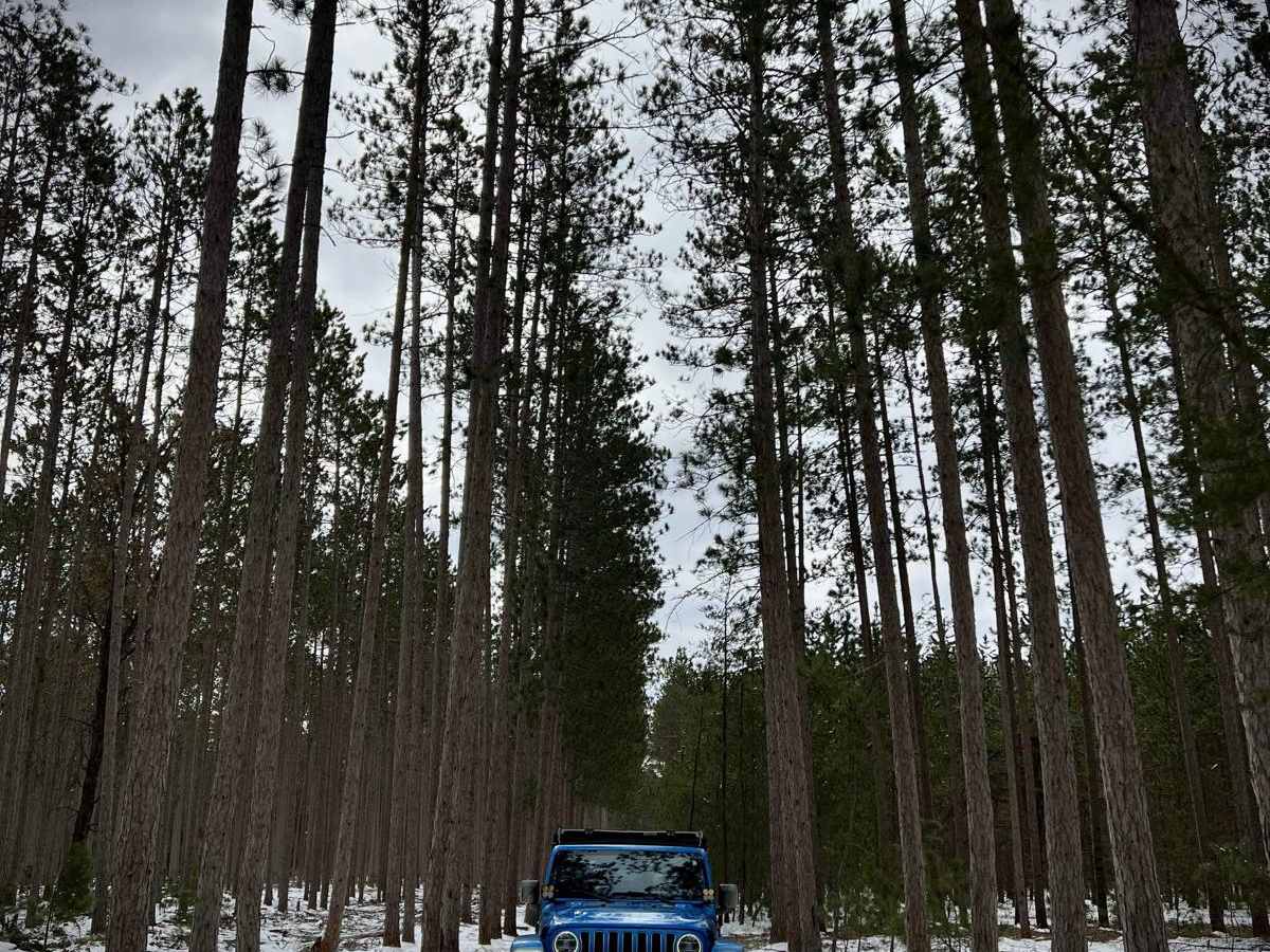 NFS 9738 photo 5