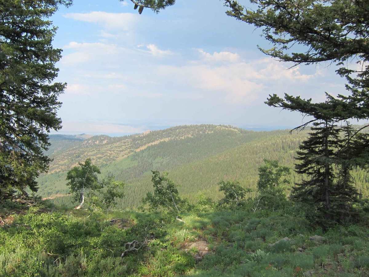Church Hollow Trail photo 4