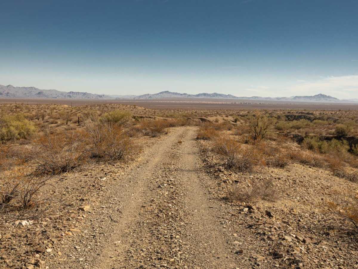 Rockridge to Wash - P1346 photo 3