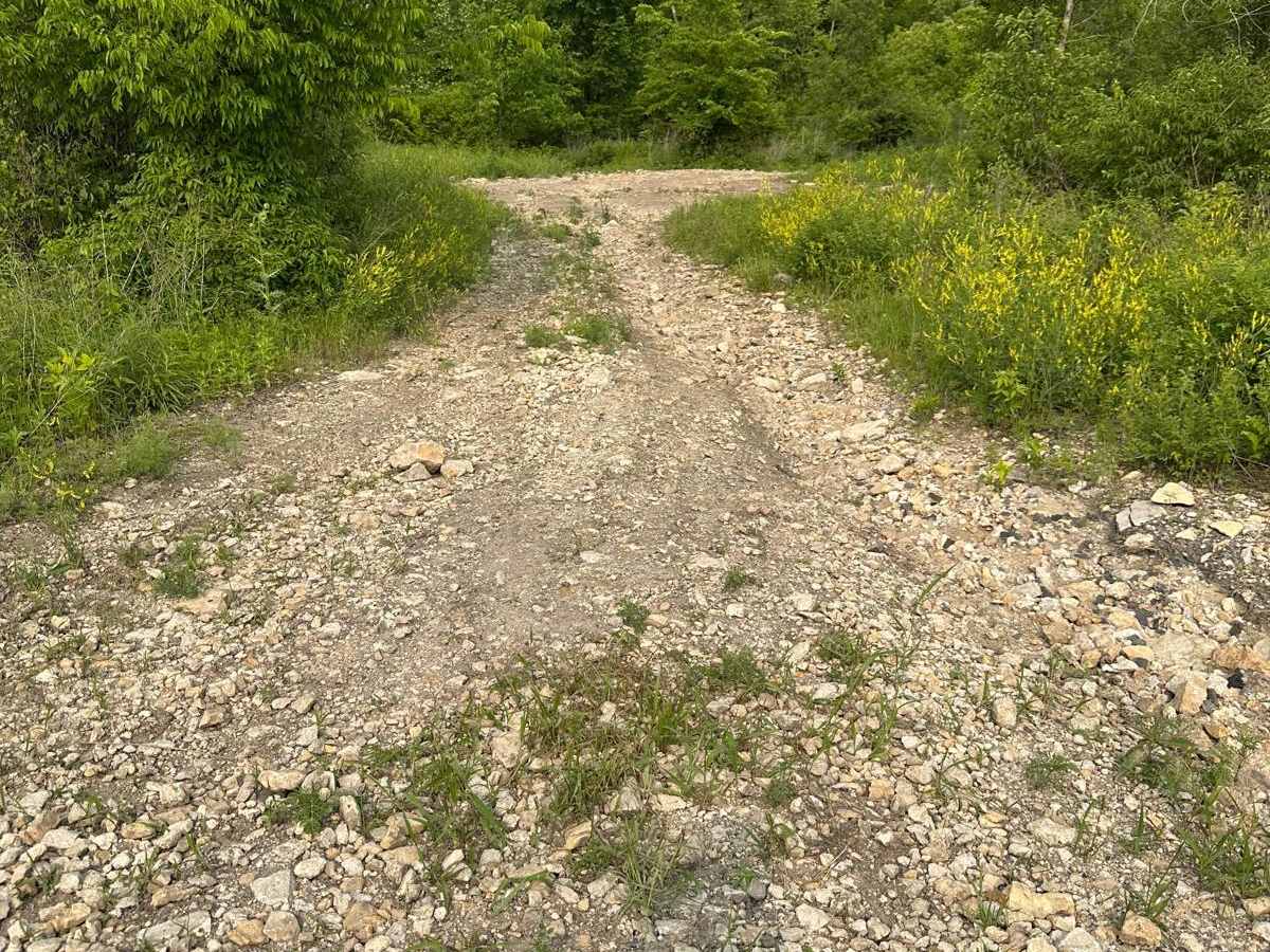 Yellow 32 trail photo