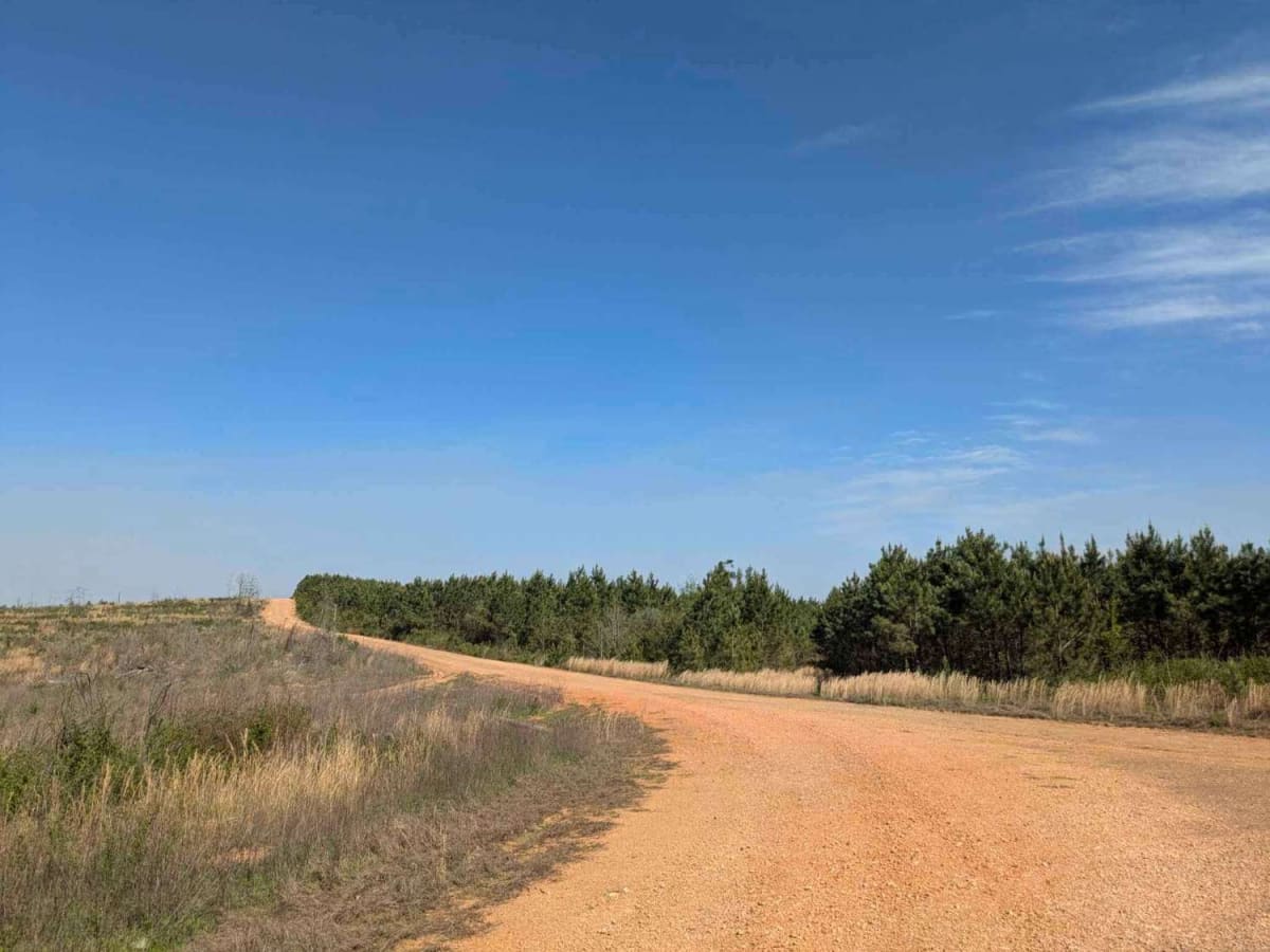 Polk Road photo 4