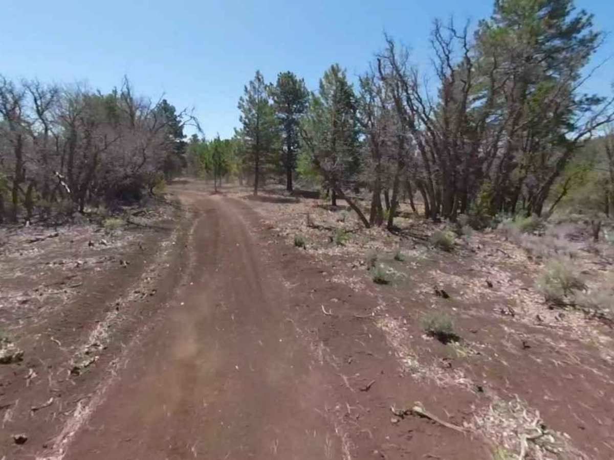 Little Oak Spring Road BLM 1029 photo 5