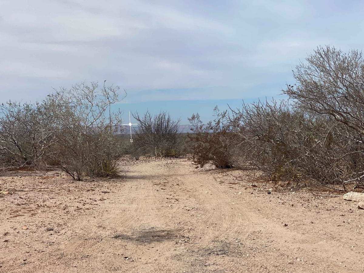 Cruz Loop photo 3