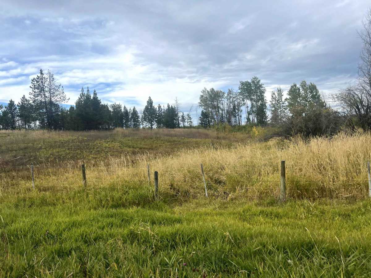 Lake Helena Road photo 5