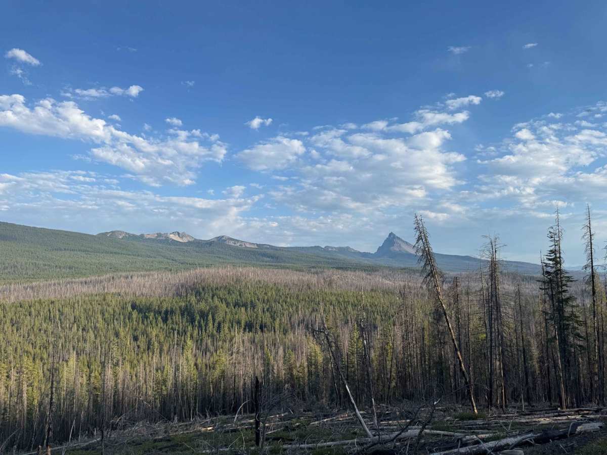 Cinnamon Butte Road photo 4