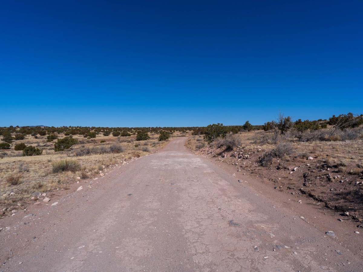 Adobe Springs photo 3
