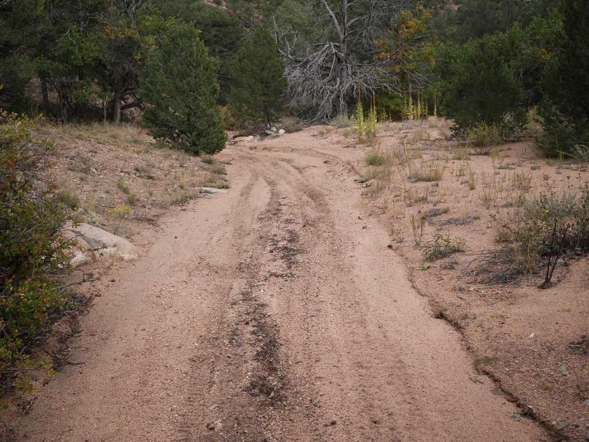 6036 ATV photo 6